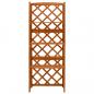 Preview: Spalier mit Ablagen 55x30x140 cm Massivholz Tanne