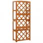 Preview: Spalier mit Ablagen 55x30x140 cm Massivholz Tanne