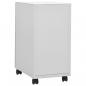 Preview: Aktenschrank mit Rollen Hellgrau 30x45x59 cm Stahl