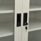 Preview: Büroschrank mit Pflanzkasten Hellgrau 90x40x128 cm Stahl