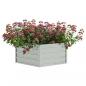 Preview: Garten-Hochbeet 129x45 cm Verzinkter Stahl Silber
