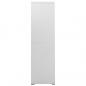 Preview: Aktenschrank Hellgrau 90x46x164 cm Stahl