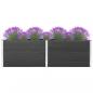 Preview: ARDEBO.de - Garten-Hochbeet 200x50x91 cm WPC Grau