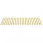 Preview: Lattenrost mit 24 Latten 80x200 cm
