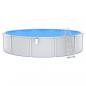 Preview: Pool mit Sicherheitsleiter 550x120 cm