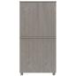 Preview: Kleiderschrank HAMAR Hellgrau 89x50x180 cm Massivholz Kiefer