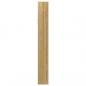 Preview: Schmuckschrank mit Spiegel Wandmontage 30x8,5x67 cm