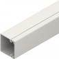 Preview: Newlec HHKL602306 HKL60230.6 CW Elektroinstallationskanal 60x230x2000 mm (Menge: 2 m je Bestelleinheit)