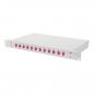 Preview: Newlec HDN-96431-4-F 12x LC Duplex, OM4 LWL-Spleißbox, Festeinbau, teilbestückt, 19", 1