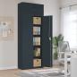 Preview: ARDEBO.de - Aktenschrank Anthrazit 90x40x240 cm Stahl