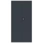 Preview: Aktenschrank Anthrazit 90x40x220 cm Stahl