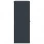 Preview: Aktenschrank Anthrazit 90x40x105 cm Stahl