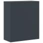 Preview: Aktenschrank Anthrazit 90x40x105 cm Stahl