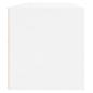 Preview: Wand-Schuhschrank Hochglanz-Weiß 100x35x38 cm Holzwerkstoff
