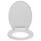 Preview: Toilettensitz mit Absenkautomatik Quick-Release Hellgrau Oval