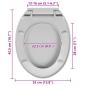 Preview: Toilettensitz mit Absenkautomatik Quick-Release Hellgrau Oval