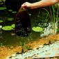 Preview: Ubbink Teich-Torf Aquavital 10 L