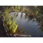 Preview: Ubbink Garten Rasenkante 14cmx15m 7mm Schwarz