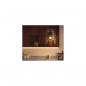 Preview: Philips Hue White Ambiance Smarte LED Lampe, 15W, A67, E27, 1521lm, 4000K (929002471901)