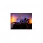 Preview: Philips Hue Gradient Signe LED Stehleuchte, 29W, 2550lm, 4000K, oak (929003479701)