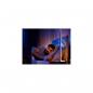 Preview: Philips Hue Gradient Signe LED Stehleuchte, 29W, 2550lm, 4000K, oak (929003479701)