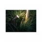Preview: Philips Hue Lily Outdoor 3er-Pack LED Spot, Außenstrahler, 8W, 1770lm, schwarz (915005629701)