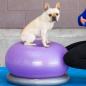 Preview: FitPAWS Fitnessball für Hunde TRAX Donut 55 cm Lila