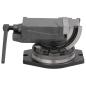 Preview: 2-Achsen-Schraubstock Kippbar 100 mm