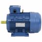 Preview: 3-Phasen-Elektromotor Aluminium 3 kW 4 PS 2-Polig 2840 U/min 