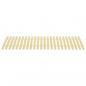 Preview: Lattenrost mit 24 Latten 70x200 cm