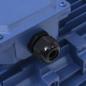 Preview: 3-Phasen-Elektromotor Aluminium 1,5 kW 2 PS 2-Polig 2840 U/min