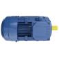 Preview: 3-Phasen-Elektromotor Aluminium 1,5 kW 2 PS 2-Polig 2840 U/min