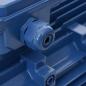 Preview: 3-Phasen-Elektromotor Aluminium 1,5 kW 2 PS 2-Polig 2840 U/min