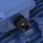 Preview: 3-Phasen-Elektromotor Aluminium 2,2 kW 3 PS 2-Polig 2840 U/min