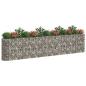 Preview: Gabionen-Hochbeet Verzinktes Eisen 470x50x100 cm