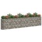 Preview: Gabionen-Hochbeet Verzinktes Eisen 470x50x100 cm