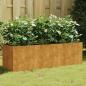 Preview: ARDEBO.de - Hochbeet 120x40x40 cm Cortenstahl