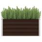 Preview: Garten-Hochbeet Braun 100 x 40 x 45 cm Verzinkter Stahl
