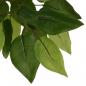 Preview: Ficusbaum Künstlich 378 Blätter 80 cm Grün