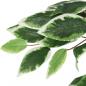Preview: Ficusbaum Künstlich 378 Blätter 80 cm Grün