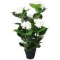 Preview: Künstliche Hortensie mit Topf 60 cm Weiß