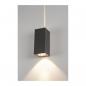 Preview: SLV BIG THEO WALL, Outdoor Wandleuchte, zweiflammig, LED, 3000K, Flood up/Beam down, silbergrau (234515)