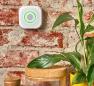 Preview: Shelly Gas CNG Gassensor, Erdgasmelder, WLAN, für die Steckdose, weiß (Shelly_Gas_CNG)