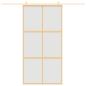 Preview: Schiebetür Golden 102,5x205 cm Matt ESG-Glas und Aluminium