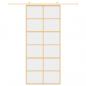 Preview: Schiebetür Golden 90x205 cm ESG-Klarglas und Aluminium