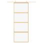 Preview: Schiebetür Golden 76x205 cm ESG-Klarglas und Aluminium