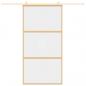 Preview: Schiebetür Golden 102,5x205 cm ESG-Klarglas und Aluminium