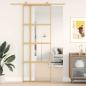 Preview: Schiebetür Golden 76x205 cm ESG-Klarglas und Aluminium