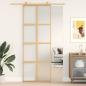 Preview: Schiebetür Golden 76x205 cm Matt ESG-Glas und Aluminium