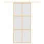 Preview: Schiebetür Golden 90x205 cm Matt ESG-Glas und Aluminium